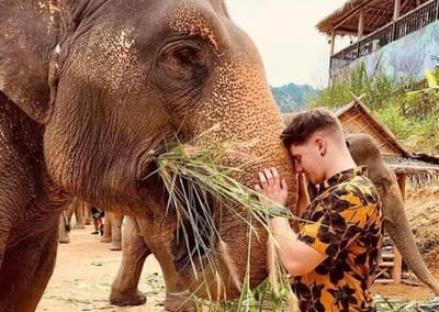 Elefanten-Schutzgebiet Phuket